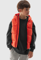 Vestes