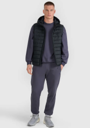 Vestes