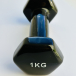 Hanteles 1 kg 2 krāsas 