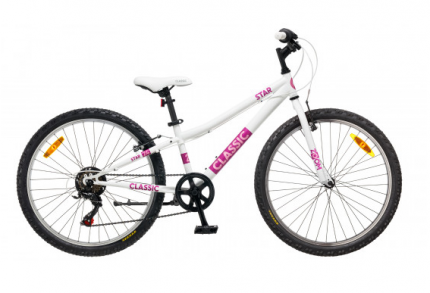  Velosipēds Classic 21 Star 24