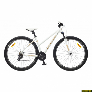  Velosipēds Classic Team Lady 29