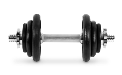 Divu hanteles komplekts 21 kg Spokey EGIR