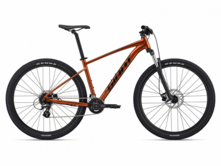  Velosipēds  Giant Talon 29 3 bronzas (2022.g.)