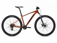  Velosipēds  Giant Talon 29 3 bronzas (2022.g.)