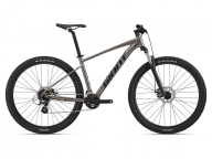 Kalnu velosipēds Giant Talon 29 4 Metal (C)