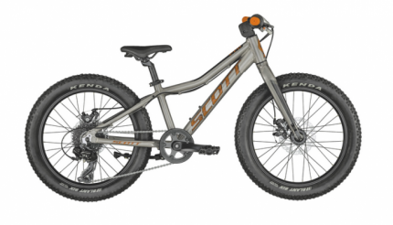  Velosipēds SCOTT Roxter 20 Bike raw alloy
