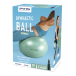 Spokey Fitball 65 cm