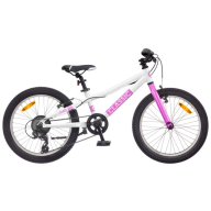 Velosipēds CLASSIC TEAM 20