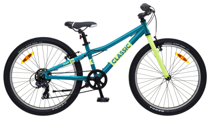 Velosipēds CLASSIC TEAM 24