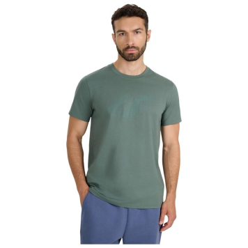 Vīriešu t-krekls regular ar apdruku