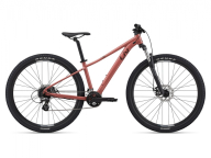 velosipēds Liv Tempt 29 4 Terra Roza